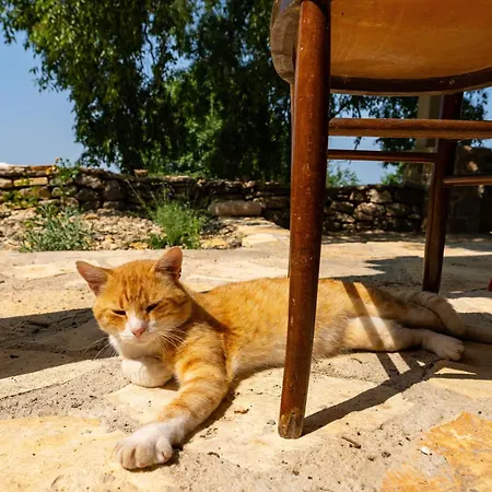 Pueblo Karin Apartman *