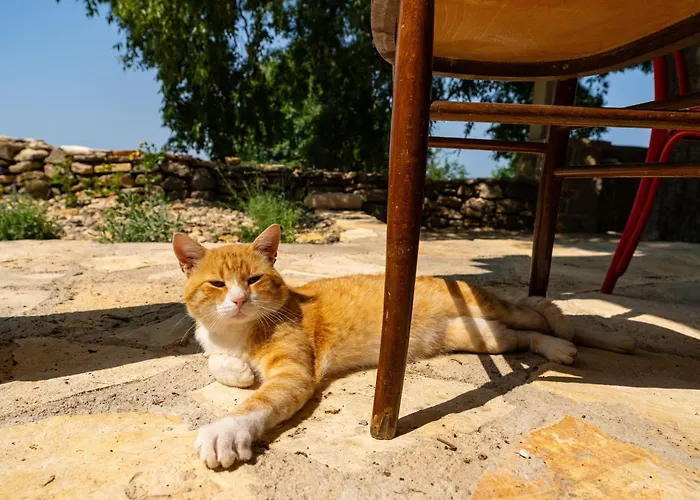 Apartamento Pueblo Karin *