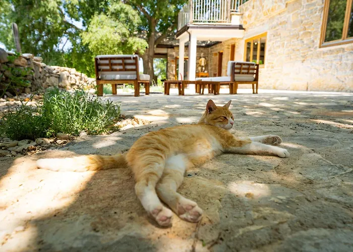 Pueblo Karin Apartamento Gornji Karin