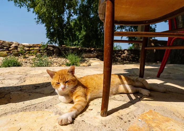 Pueblo Karin Apartament *