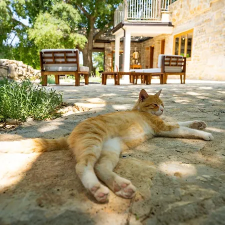 Pueblo Karin Apartment Gornji Karin